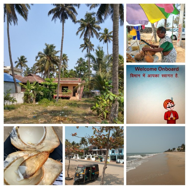 20190220_144133-COLLAGE